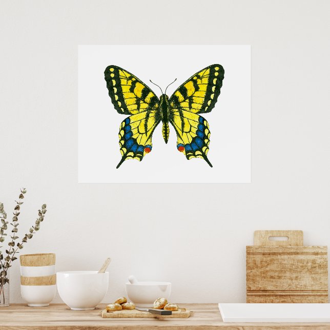 Poster Borboleta-de-cauda-andorinha (Cozinha)