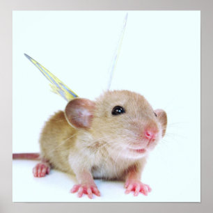 Poster Borboleta do rato do bebê