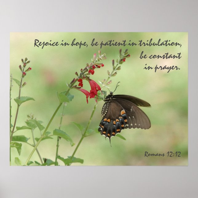 Poster Borboleta em flores selvagens, Verse Romans 12:12 (Frente)
