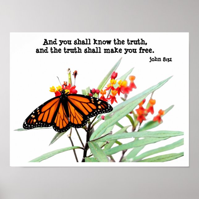 Poster Borboleta em Milkweed, com Verse (John 8:32) (Frente)