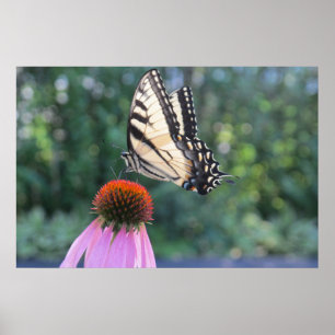 Poster Borboleta em um Conversor Roxo