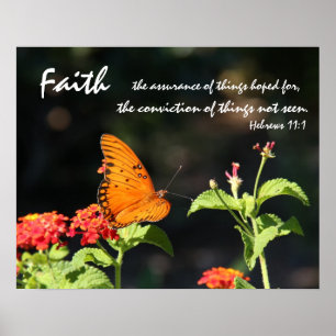 Poster Borboleta em Wildflowers, verso da escritura na f