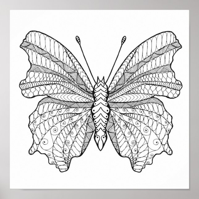 Pôster Borboleta Estilo 6 (Frente)