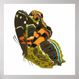 Poster Borboleta exótica de vintage 5