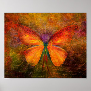 Poster Borboleta extravagante