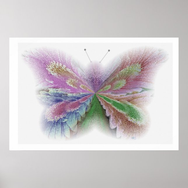 Poster Borboleta Flor (Frente)