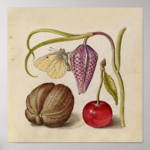 Pôster Borboleta Flor e cereja Aquarela