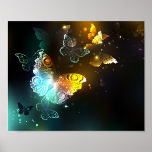 Poster Borboleta Luminosa e borboletas noturnas
