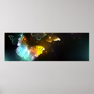 Poster Borboleta Luminosa e borboletas noturnas