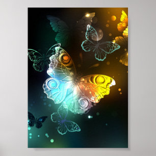 Poster Borboleta Luminosa e borboletas noturnas