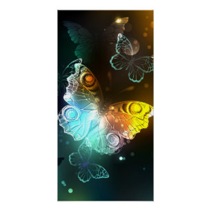 Pôster Borboleta Luminosa e borboletas noturnas