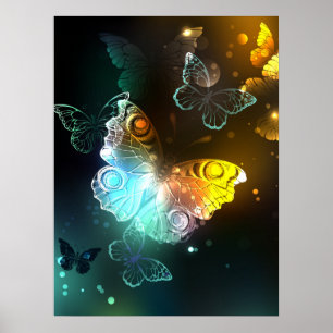 Poster Borboleta Luminosa e borboletas noturnas
