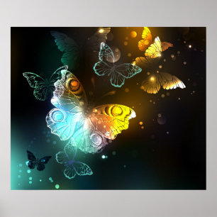 Poster Borboleta Luminosa e borboletas noturnas