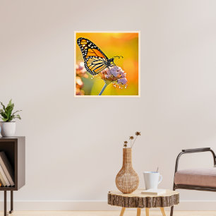 Poster Borboleta Majestosa Fechar Design