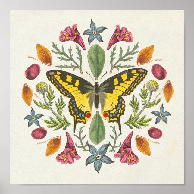 Poster Borboleta Mandala (Frente)