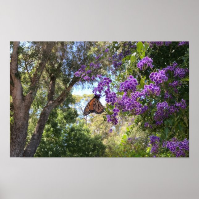 Poster Borboleta Monarca em Flores Roxas (Frente)