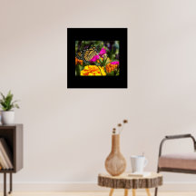 Borboleta Monarca na Flor Marigold Rosa