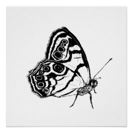 Pôster Borboleta Monocromática