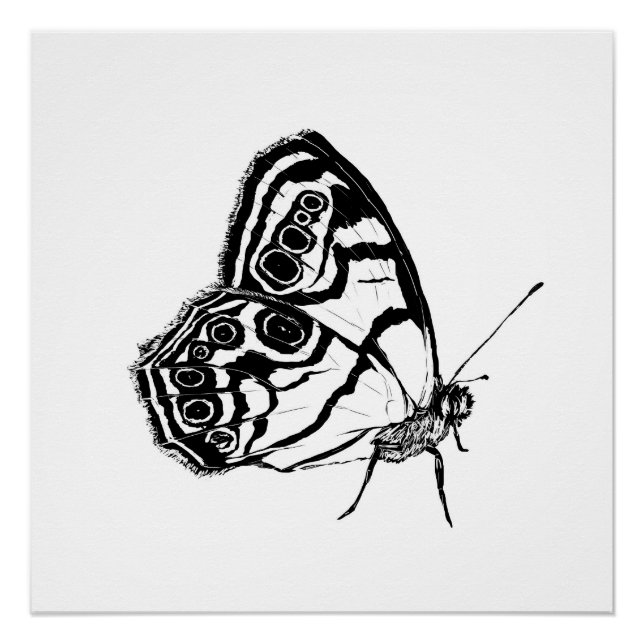 Pôster Borboleta Monocromática (Frente)