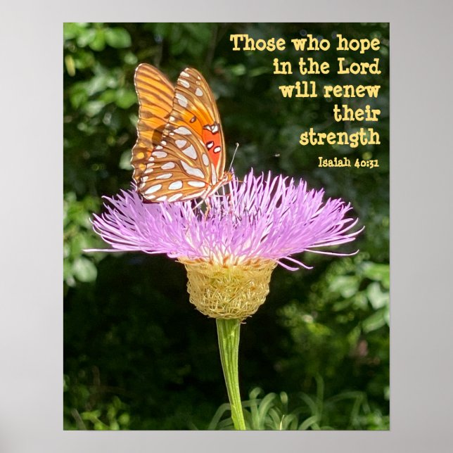 Poster Borboleta na Flor w Verse de Isaiah 40:31 (Frente)