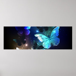 Poster Borboleta Noturna Esvoaçante