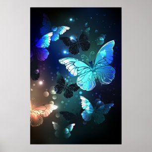 Poster Borboleta Noturna Esvoaçante
