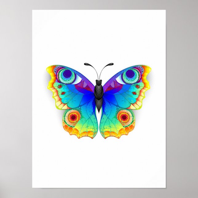 Poster Borboleta Pavão Olho Arco-Íris (Frente)