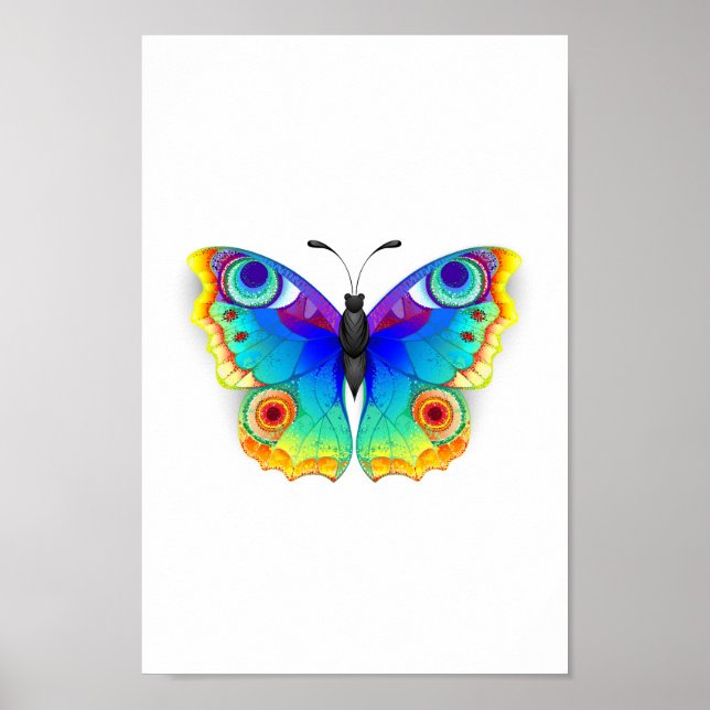 Poster Borboleta Pavão Olho de Arco-Íris (Frente)