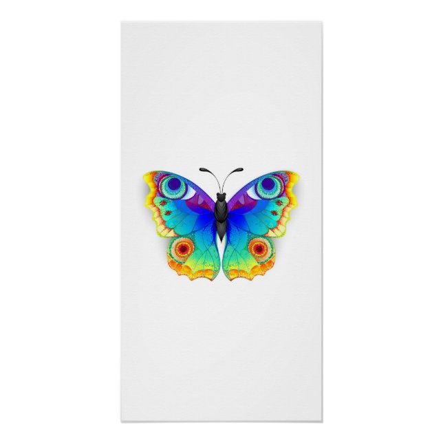 Pôster Borboleta Pavão Olho de Arco-Íris (Frente)