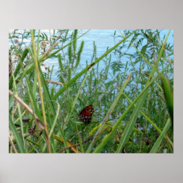 Poster Borboleta perto do rio