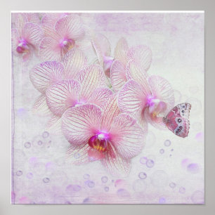 Pôster Borboleta Sobre Lossóis De Orquídeas