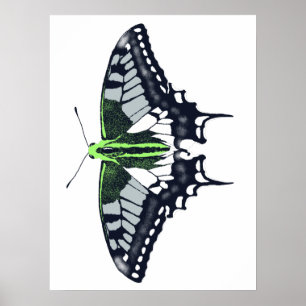 Poster Borboleta Swallowtail de Sinalizador Agender
