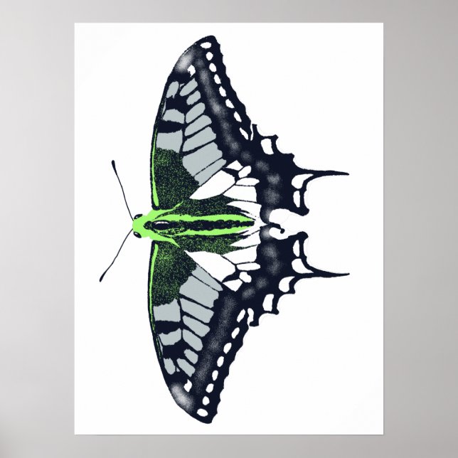 Poster Borboleta Swallowtail de Sinalizador Agender (Frente)