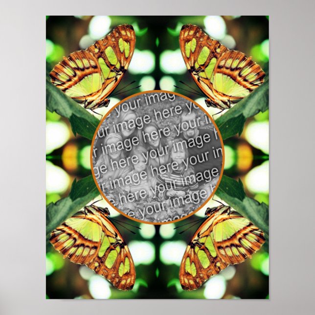 Poster Borboleta Verde Possuindo Quadro Crie Sua Própria  (Frente)