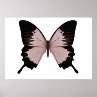 Borboleta Vermelha e Preta Grande
