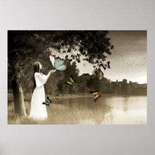 Poster Borboletas
