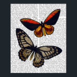 Poster Borboletas 3<br><div class="desc">Animais e Natureza</div>