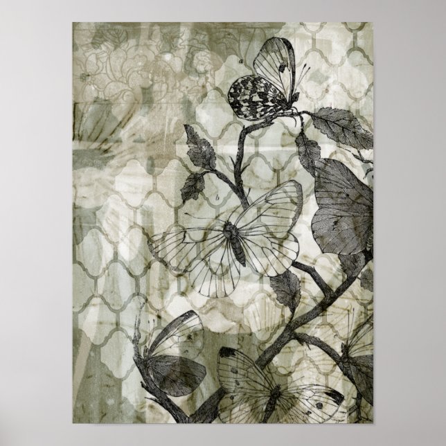 Poster Borboletas árabes II (Frente)