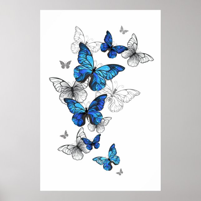 Poster Borboletas Azuis Morpho (Frente)