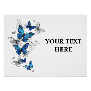 Pôster Borboletas Azuis Morpho