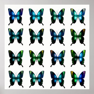 Poster Borboletas Brancas Elegantes Azuis