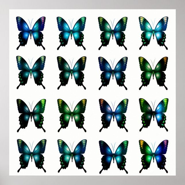Poster Borboletas Brancas Elegantes de Turquesa Azul Real (Frente)