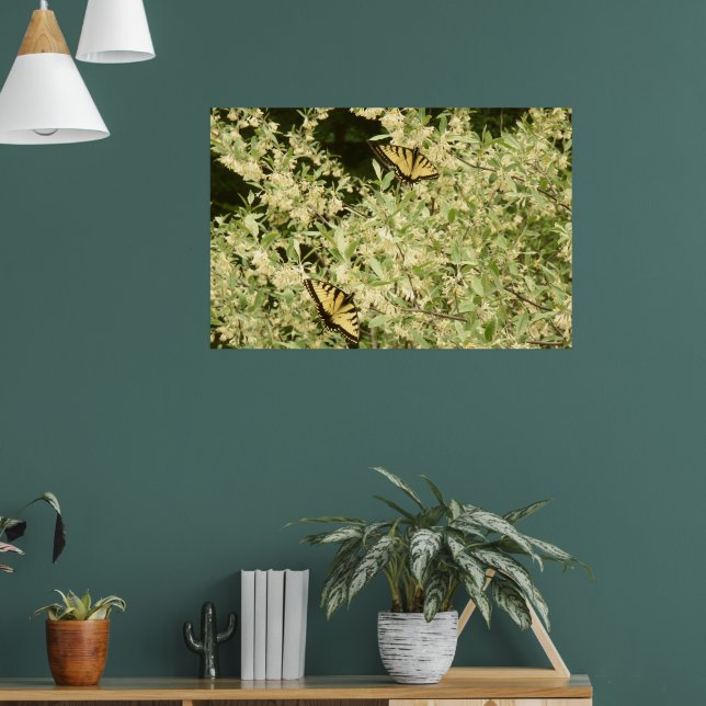 Poster Borboletas de cauda variável em arbustos com flor (Sala de Estar 1)