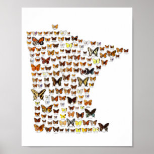 Poster Borboletas de Minnesota