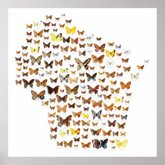 Poster Borboletas de Wisconsin