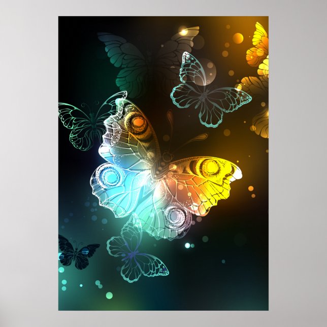 Poster Borboletas luminosas e borboletas noturnas (Frente)