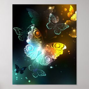 Poster Borboletas luminosas e borboletas noturnas