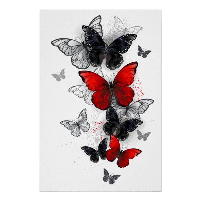 Pôster Borboletas Negras e Vermelhas (Frente)
