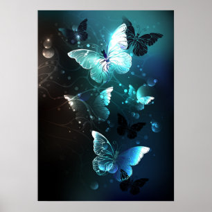 Poster Borboletas Noturnas