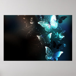 Poster Borboletas Noturnas de Menta